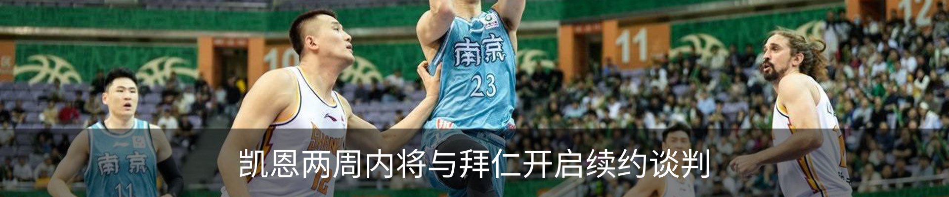 新闻动态