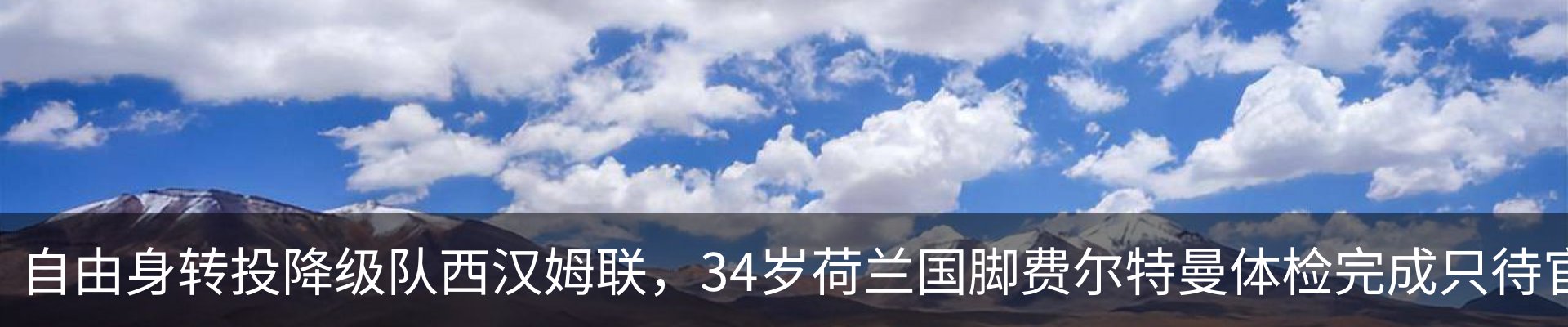 新闻动态